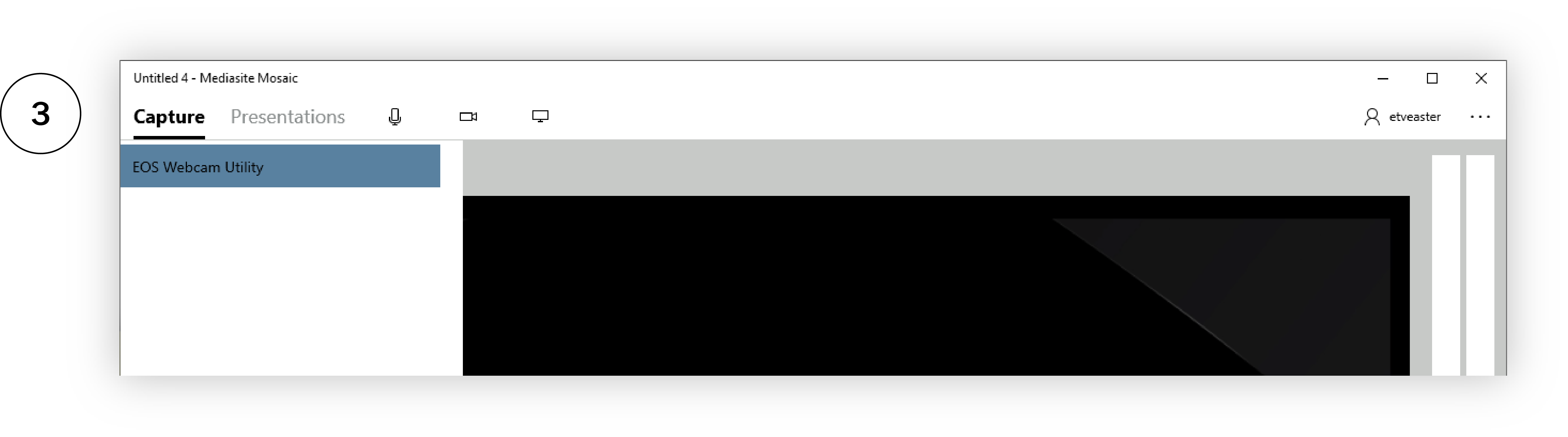 3. Capture window: select camera